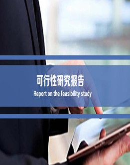 可行性研究報告
